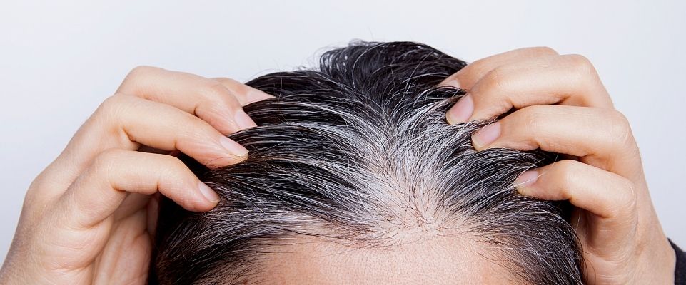 Off Color Roots How to Colour Your Roots at Home: The Complete, Expert Guide - Naturtint