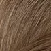 Naturtint Permanent Hair Colour – 8N Whear Gem Blonde